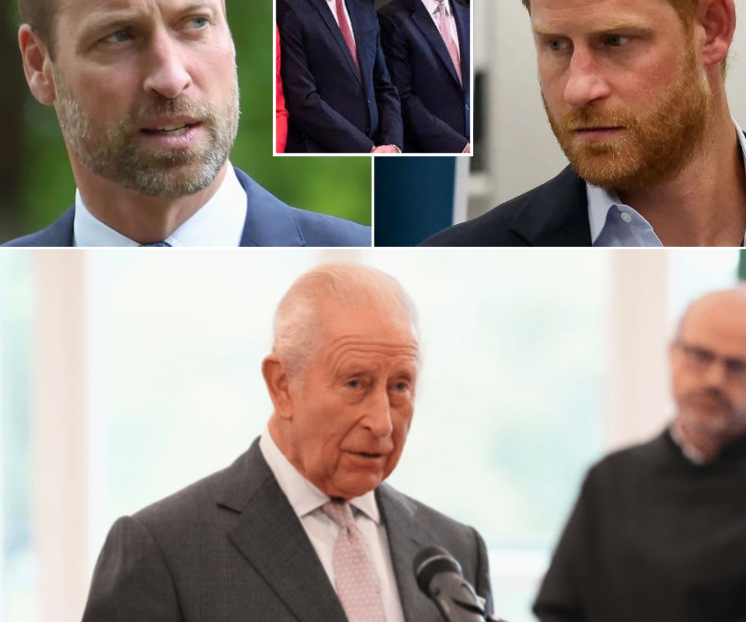KING CHARLES’ PLAN TO BRING WILLIAM AND HARRY TOGETHER AND DIANA’S LEGACY COULD HOLD THE KEY.