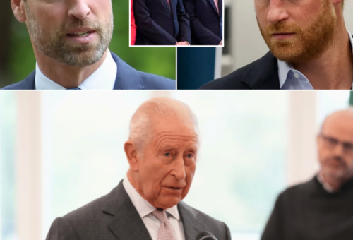 KING CHARLES’ PLAN TO BRING WILLIAM AND HARRY TOGETHER AND DIANA’S LEGACY COULD HOLD THE KEY.